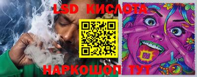 гашик Гусь-Хрустальный