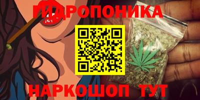 гашик Гусь-Хрустальный